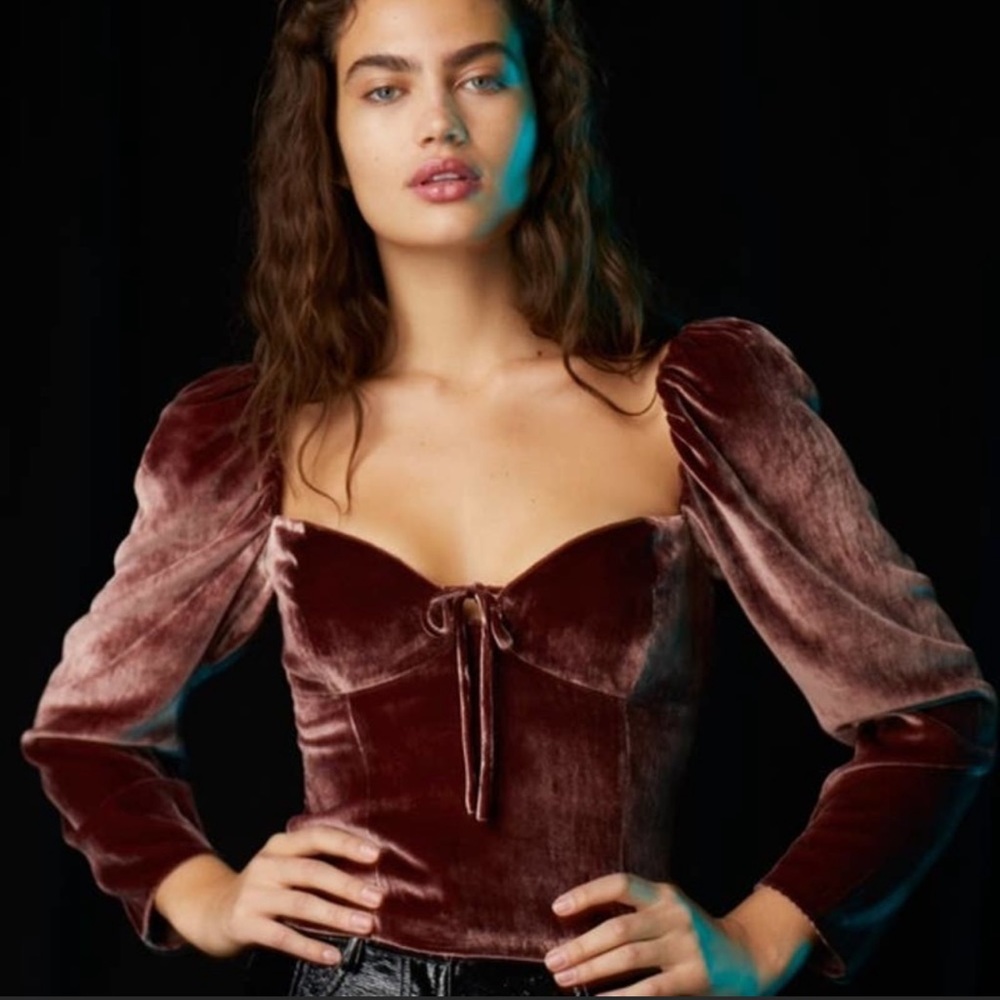 Aritzia Wilfred Velvet top